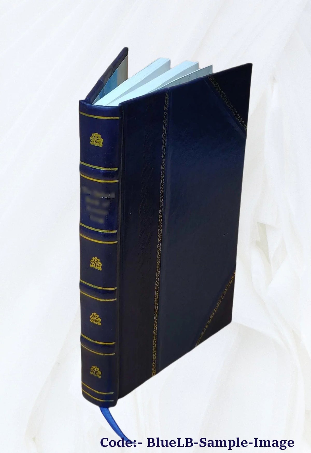 Explication pratique de la Loi du 29 juillet 1881 sur la presse d'après les travaux parlementaires et la jurisprudence 1883 [Leather Bound]