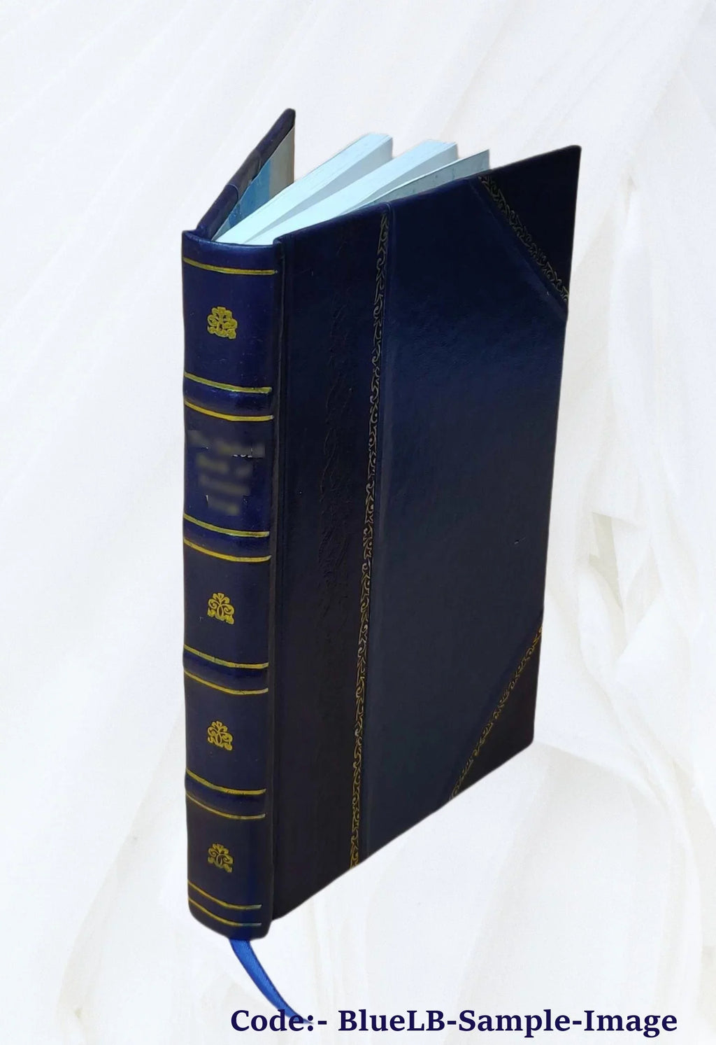 Nobiliaire d'Auvergne ... / J.-B. Bouillet. Volume v.6 1846 [Leather Bound]
