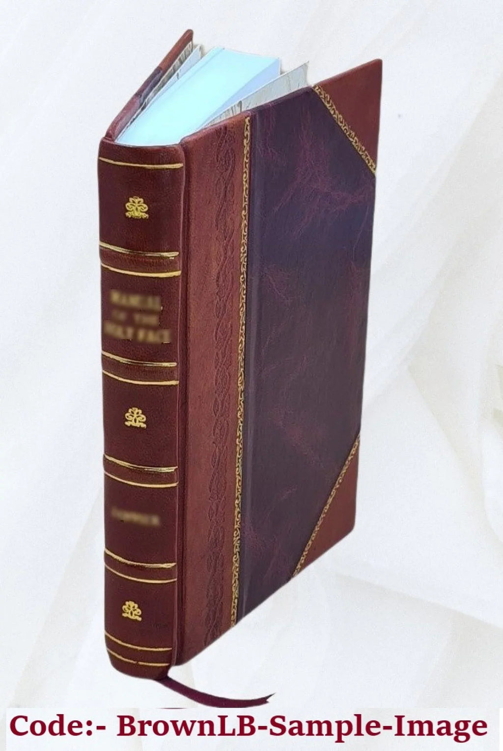 Eldridge's coast pilot, no. 1 eastern section from Chatham to St. John, N.B. / compiled by George Eldridge. 1880 [Leather Bound]