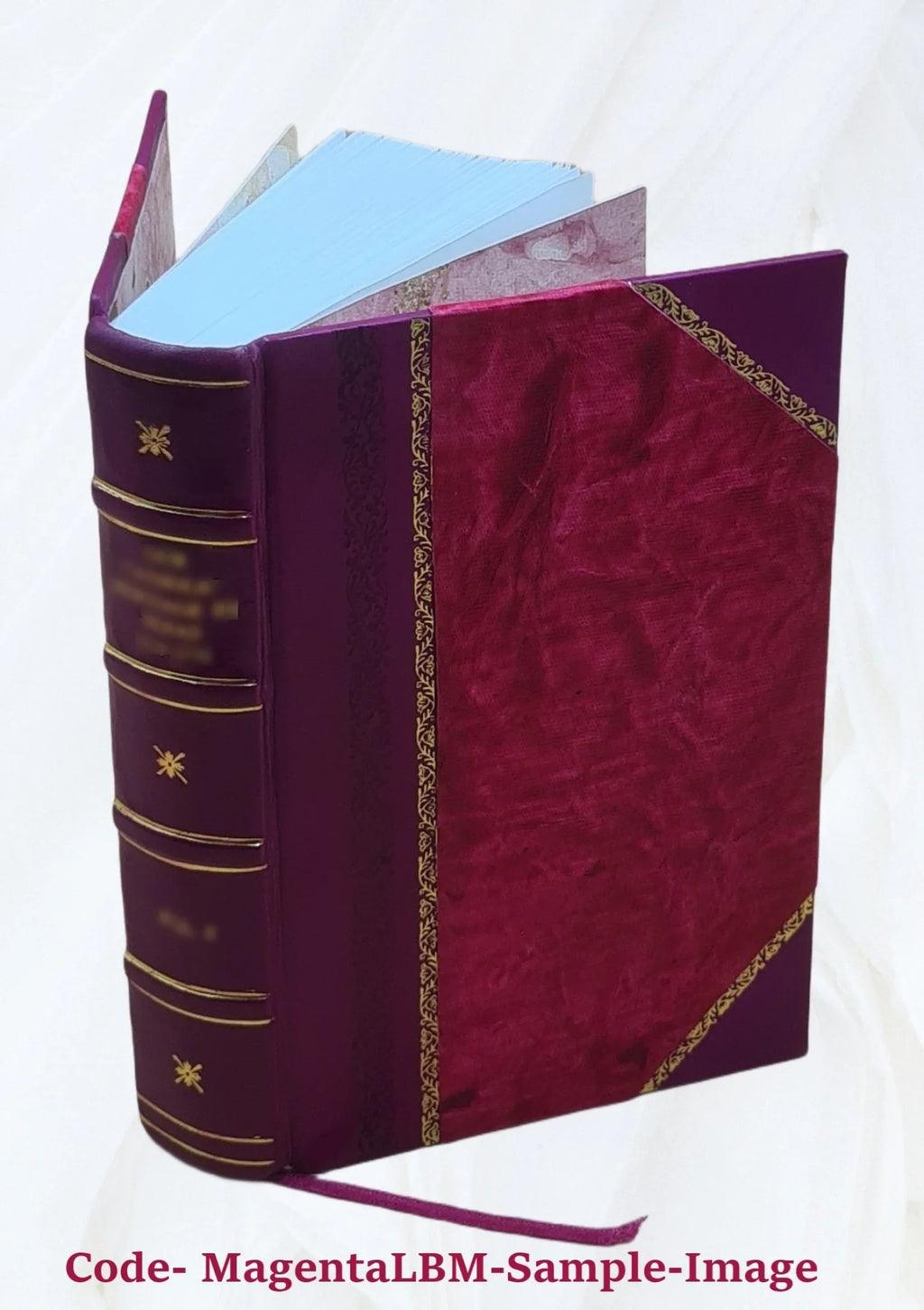 Grants administration : Dept. staff manual. 1999 [Leather Bound]