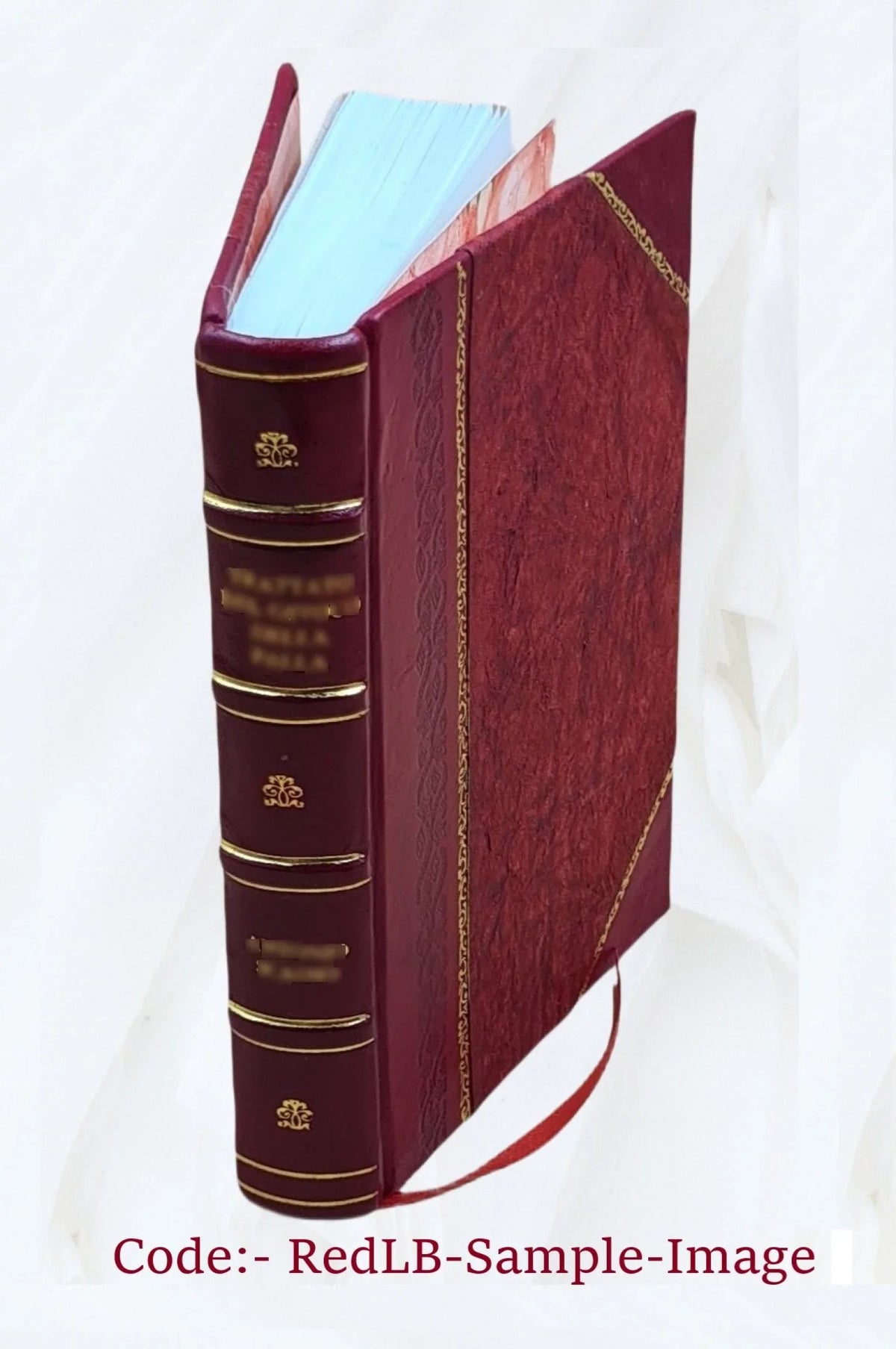 Mémoire sur les Carmathes du Bahran et les Fatimides 1886 [Leather Bound]