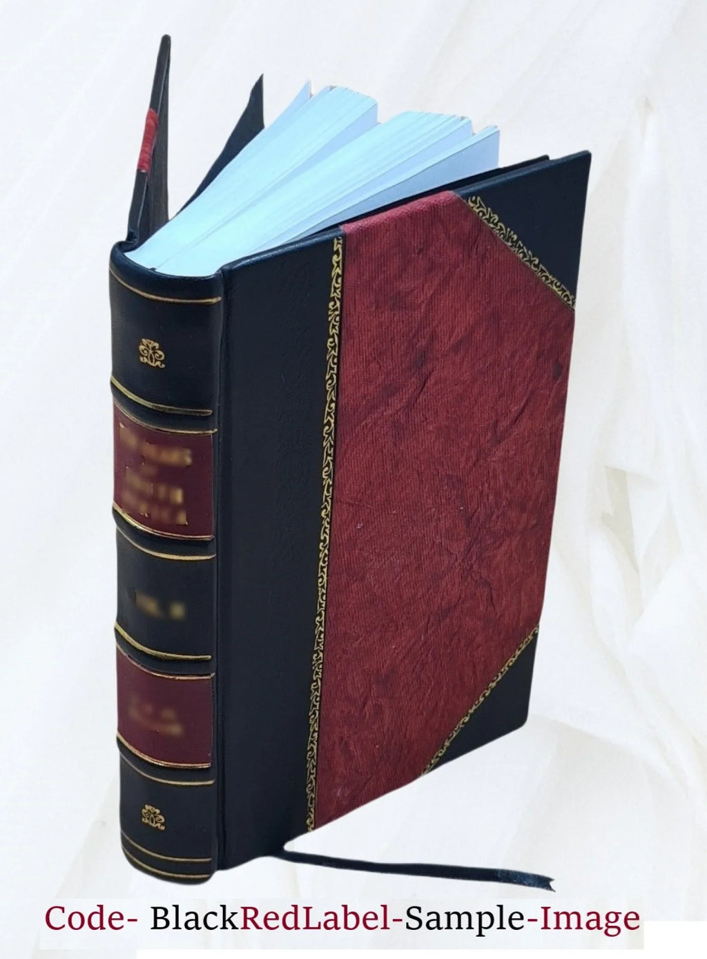 Nobiliaire d'Auvergne ... / J.-B. Bouillet. Volume t.4 1846 [Leather Bound]
