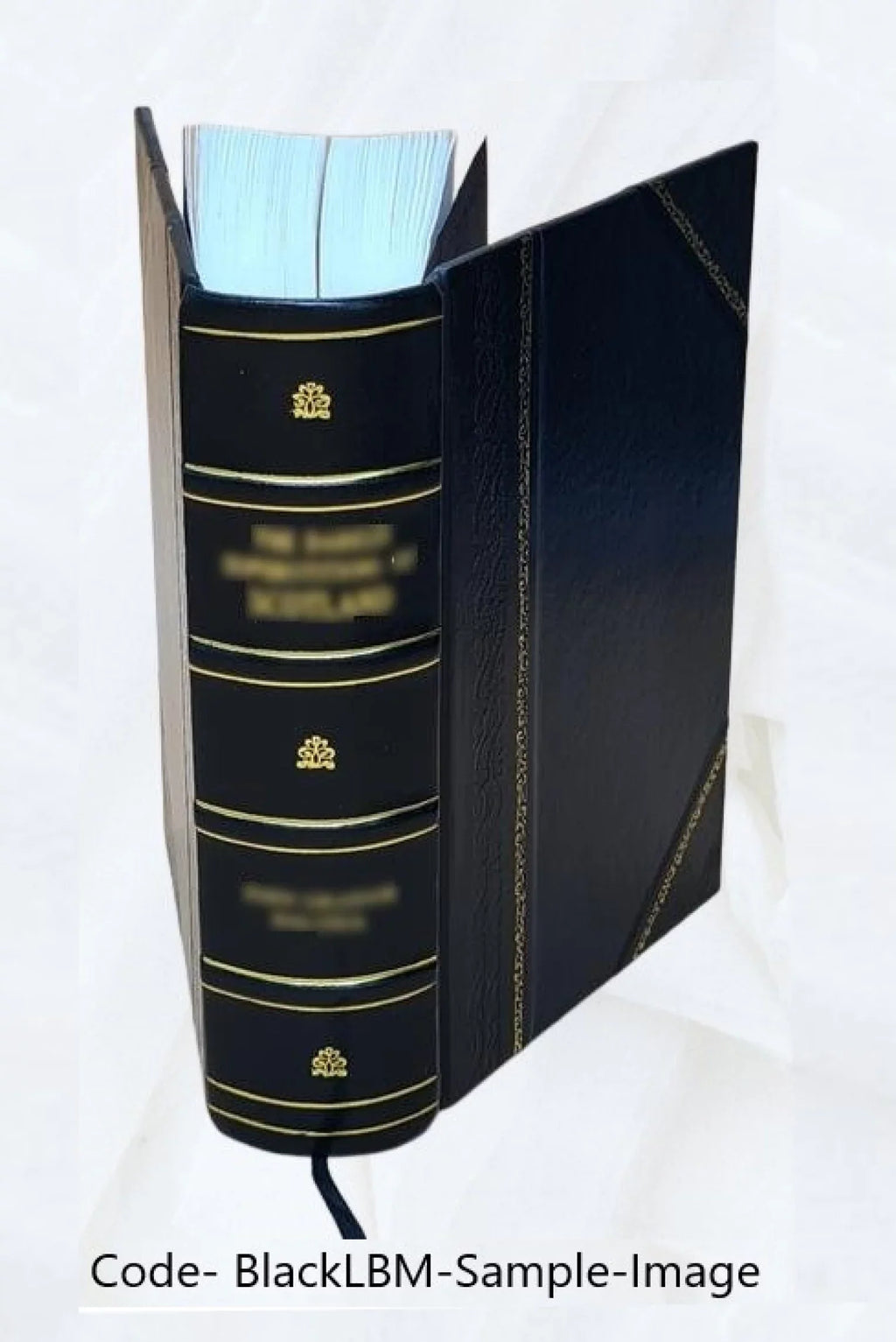 Grants administration : Dept. staff manual. 1999 [Leather Bound]
