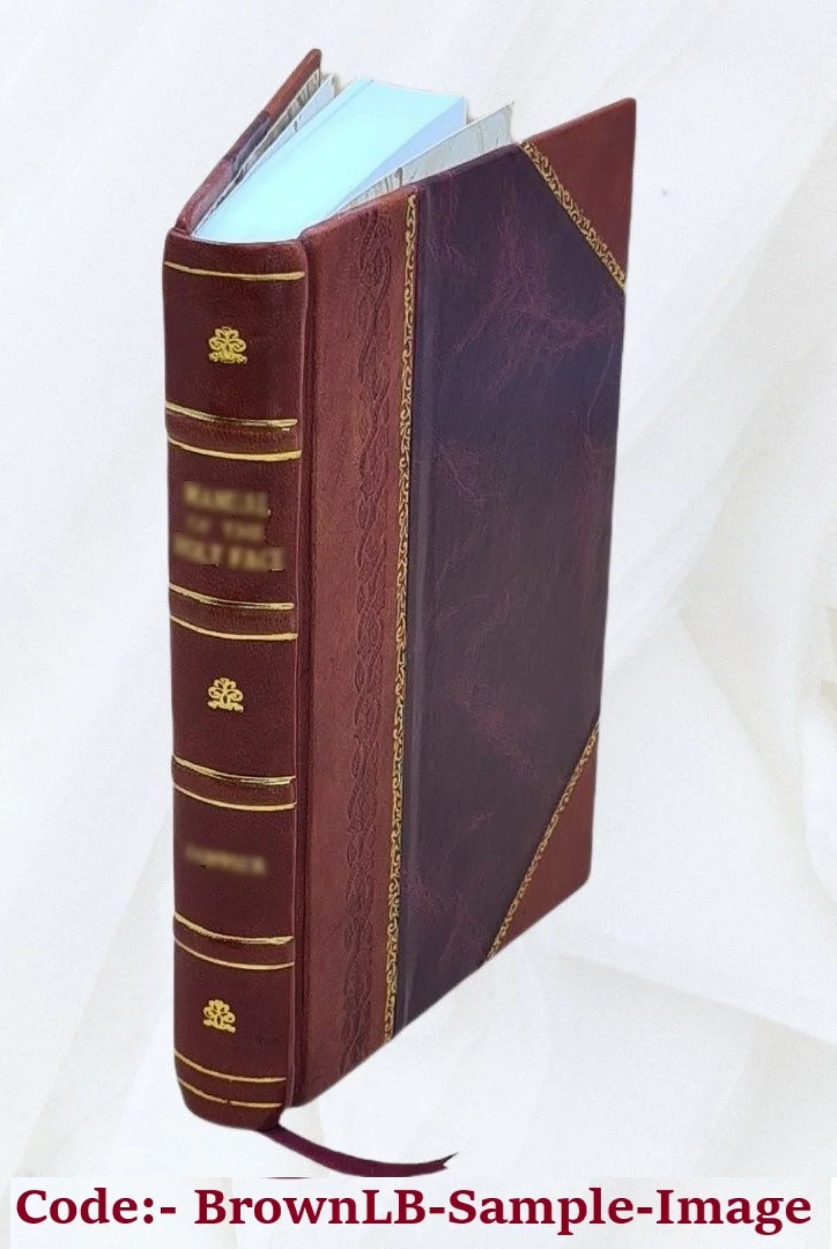 Spicilegium Sophocleum commentarium perpetuum in septem Sophoclis fabulas continens 1903 [Leather Bound]